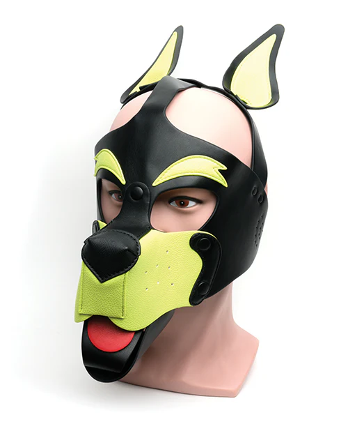 665 Playful Pup Hood - Image 11