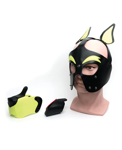 665 Playful Pup Hood - Image 6