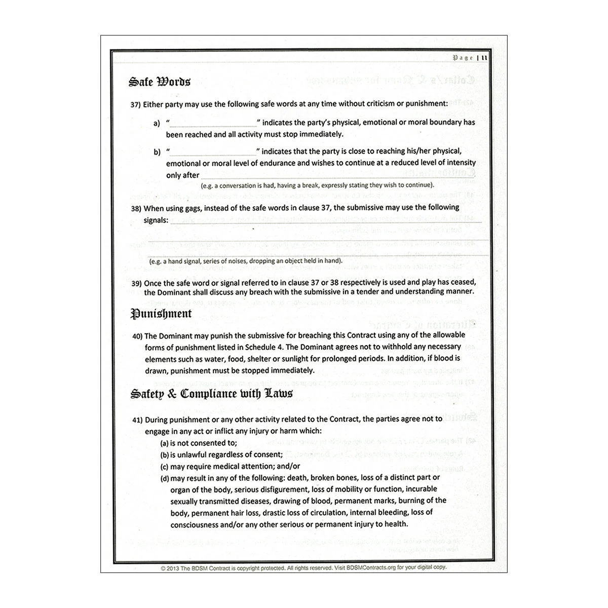 BDSM Contract - Image 2