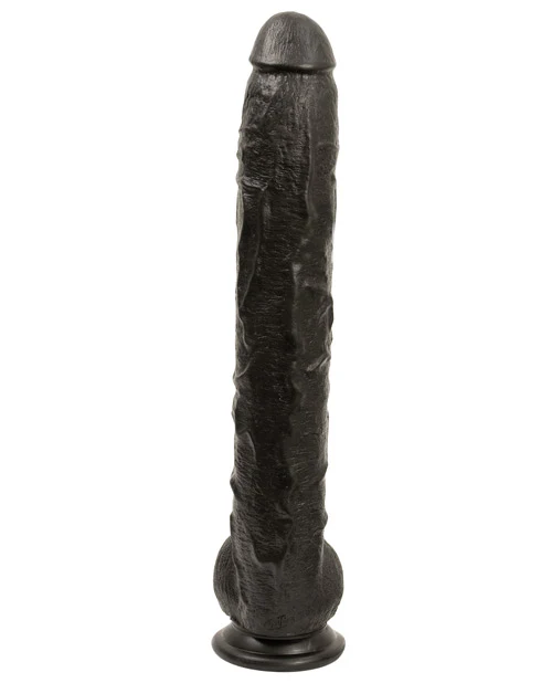 Dick Rambone - Image 6