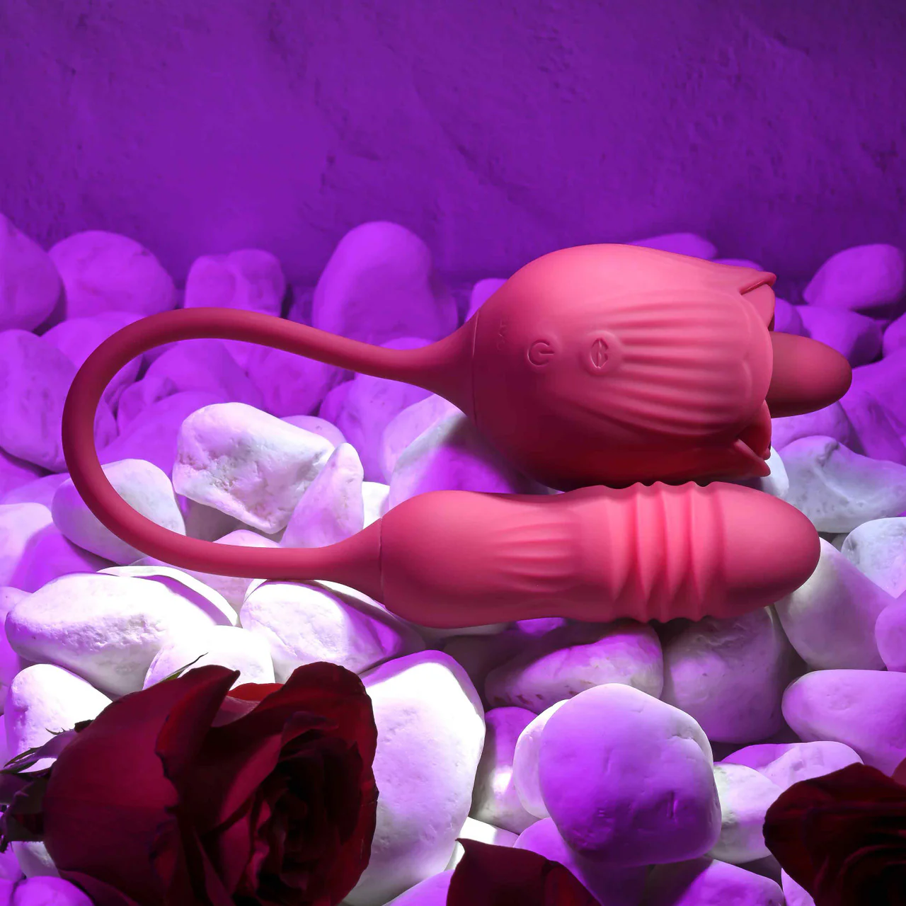Evolved Wild Rose - Image 3