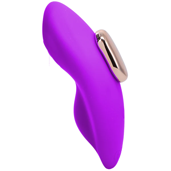 In A Bag Panty Remote Panty Vibe - Image 2