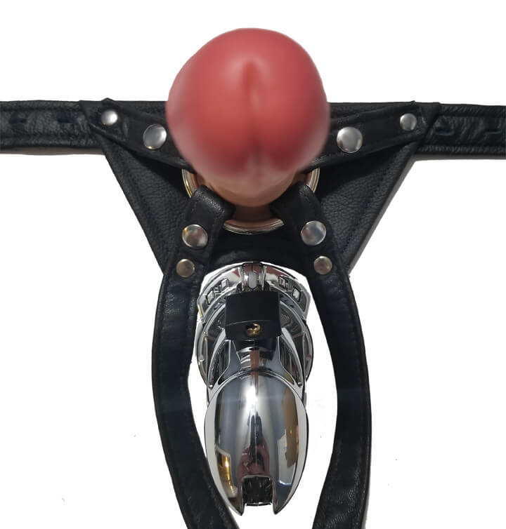 Locked in Lust Crotch Rocket Penis Harness - Image 3