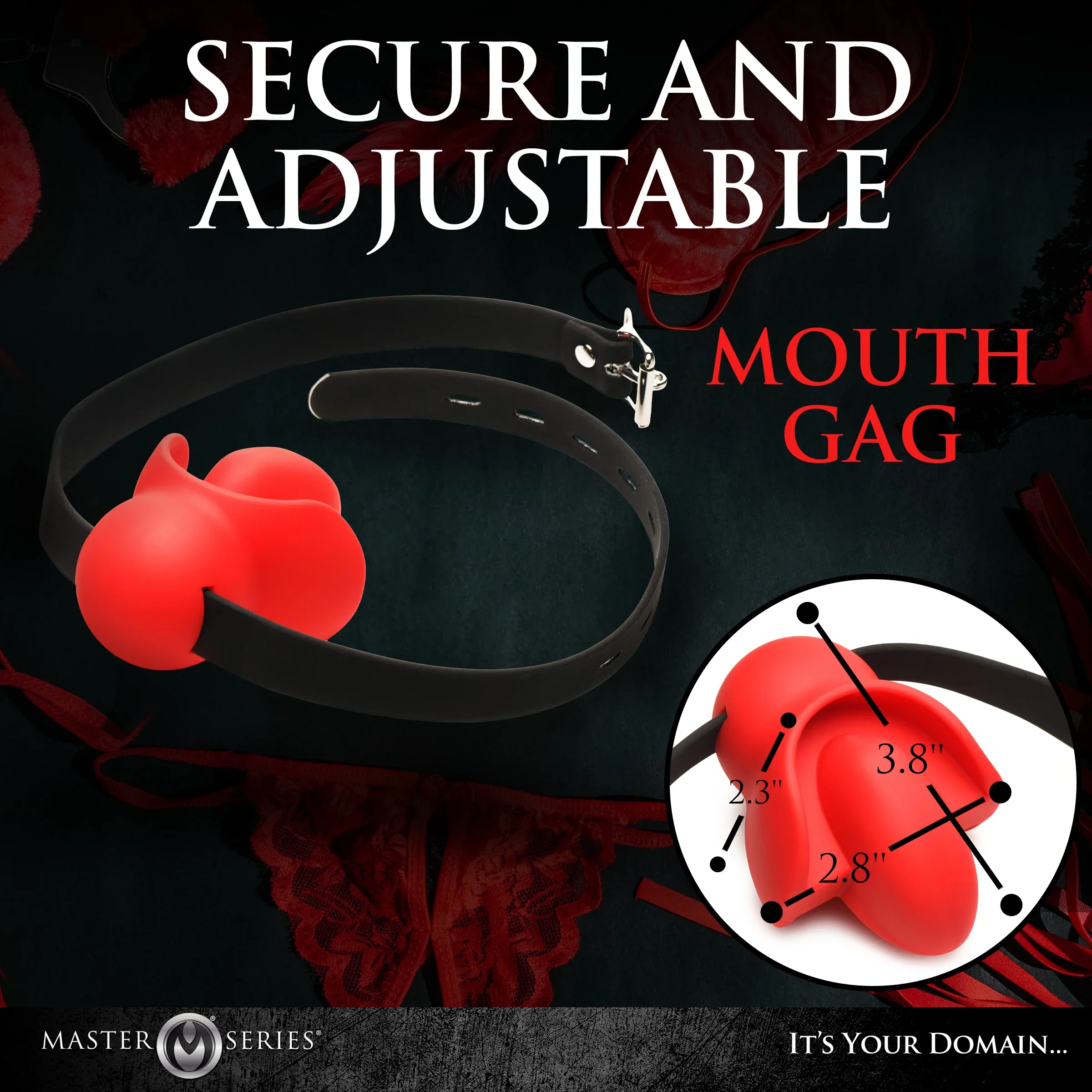 Master Series Gag Order - Image 4