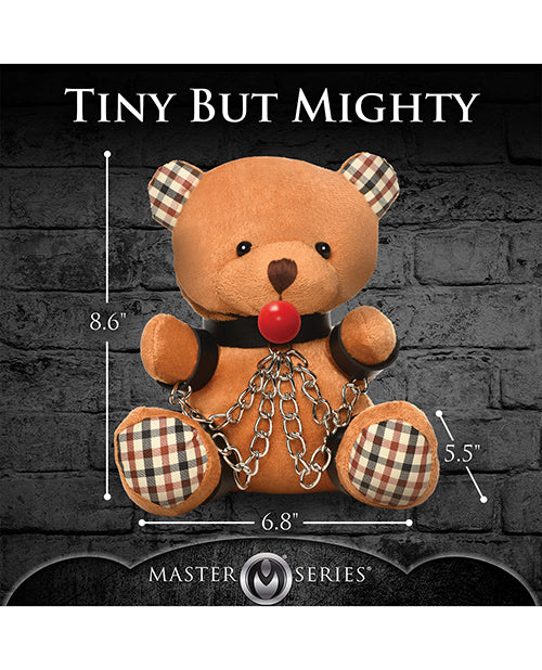 Master Series Gagged Teddy Bear - Image 3