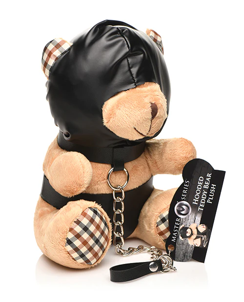 Master Series Hooded Teddy Bear - Image 4