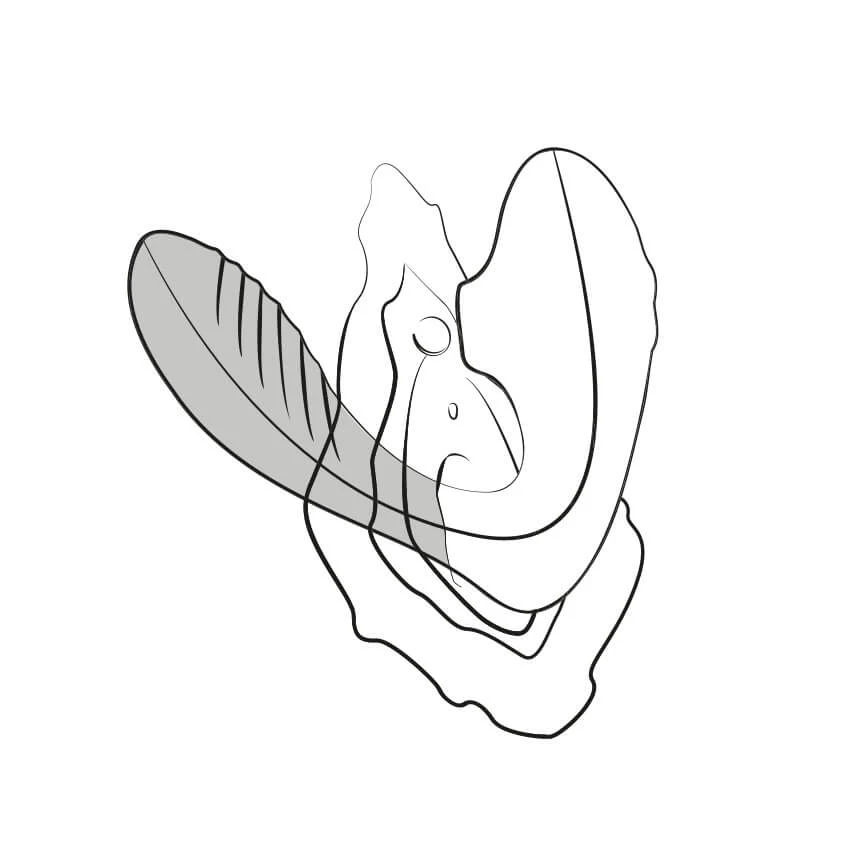 ROMP Reverb - Image 3