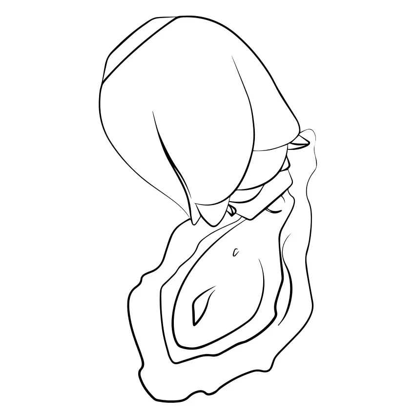 ROMP Rose - Image 5