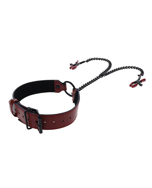 Saffron Collar with Chain Nipple Clamps - Image 4