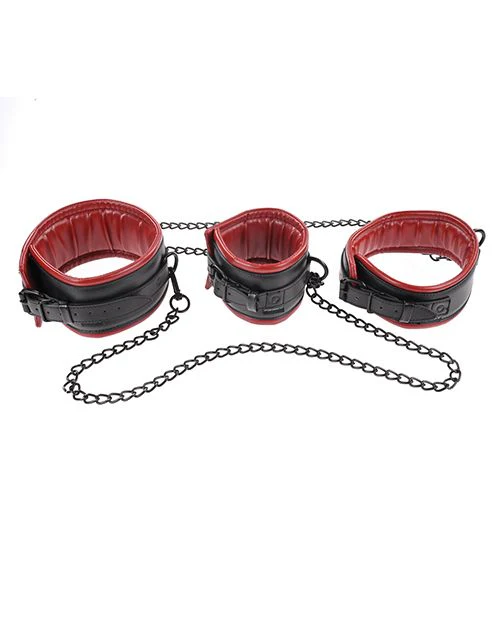 Sportsheets Chained and Tamed - Image 4