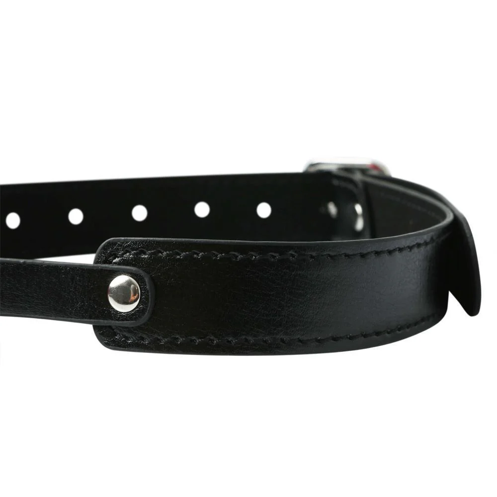 Sportsheets Solid Red Ball Gag - Image 3