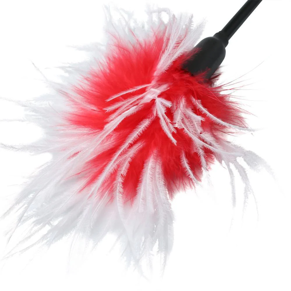 Sportsheets Whip & Tickle - Image 3
