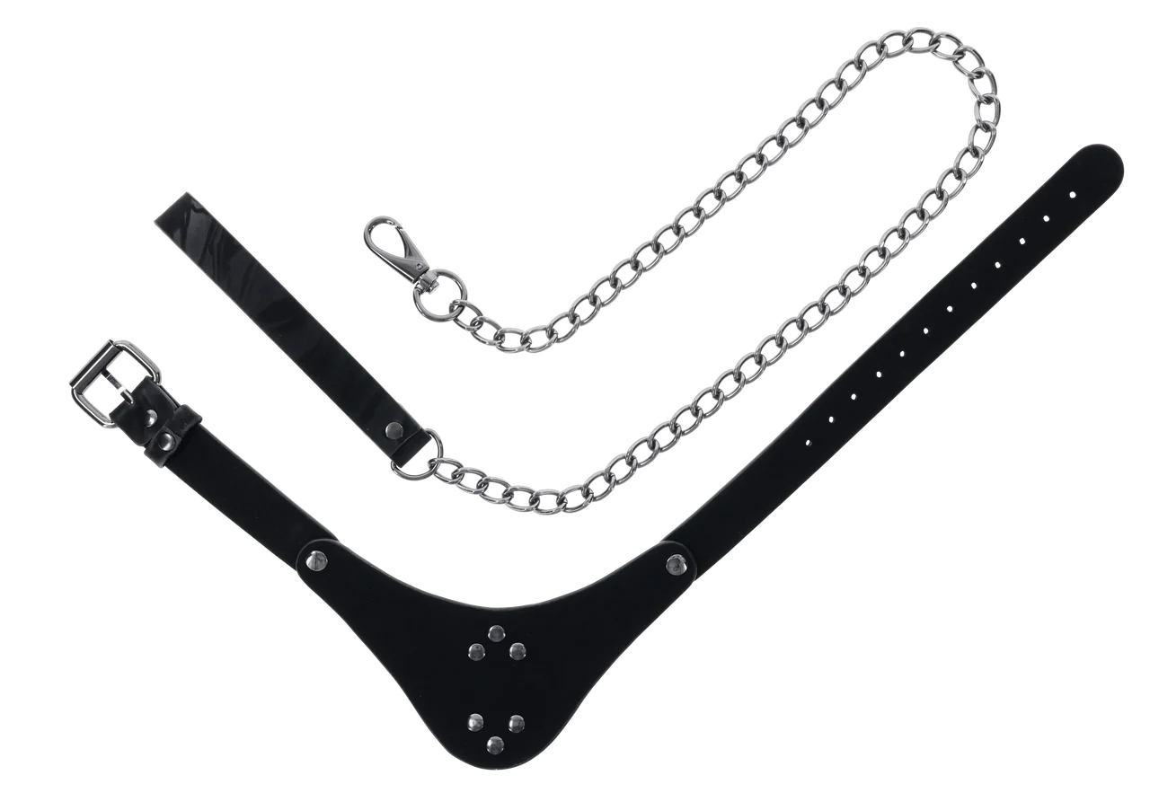 Sportsheets Velvet Noir Collar and Leash - Image 2