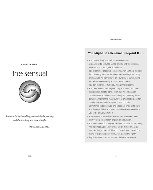 Your Blueprint for Pleasure - Image 4