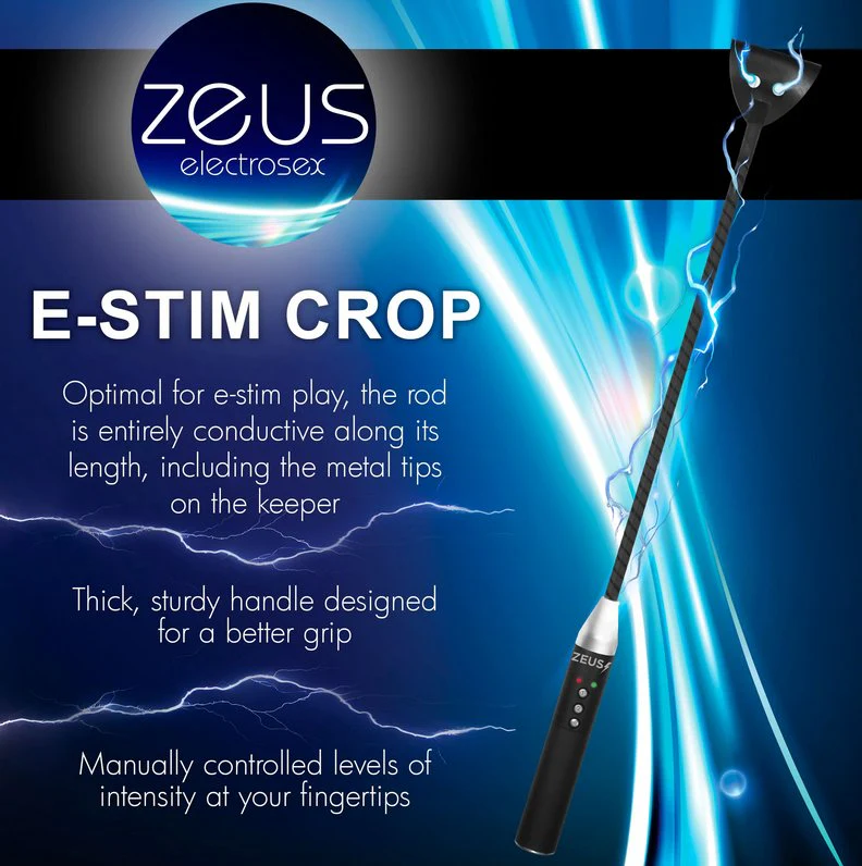 Zeus Electrosex Riding Crop - Image 2