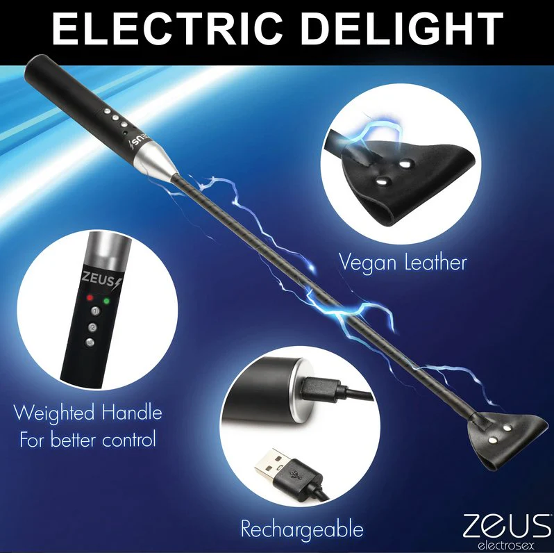 Zeus Electrosex Riding Crop - Image 4