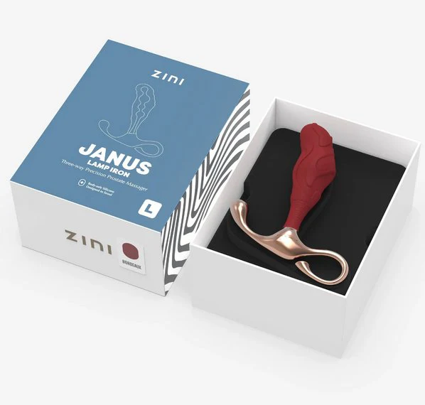 Zini Janus Lamp Iron - Image 6